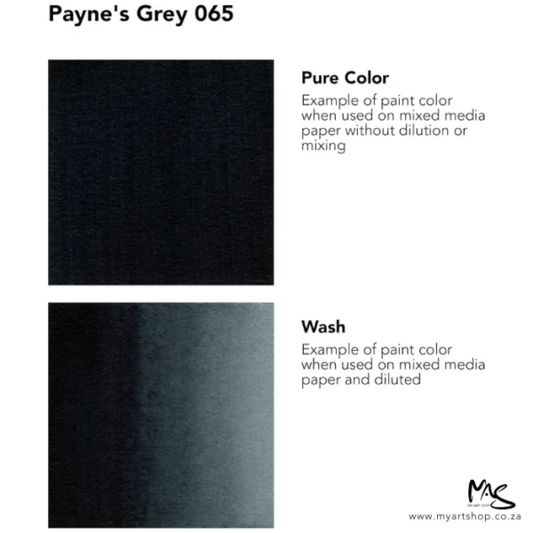 A colour chart for Paynes Grey Daler Rowney FW Acrylic Ink. There are two colour block squares along the left hand side of the frame with text to the right of each square. The name of the colour is shown at the top of the frame. On a white background.
