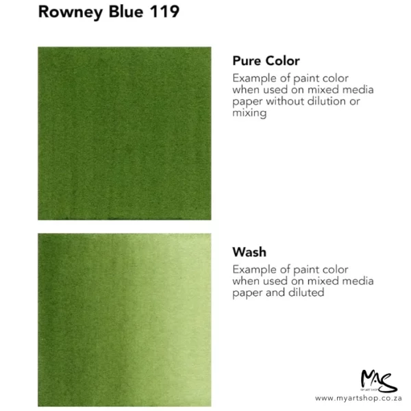 A colour chart for Sap Green Daler Rowney FW Acrylic Ink. There are two colour block squares along the left hand side of the frame with text to the right of each square. The name of the colour is shown at the top of the frame. On a white background.