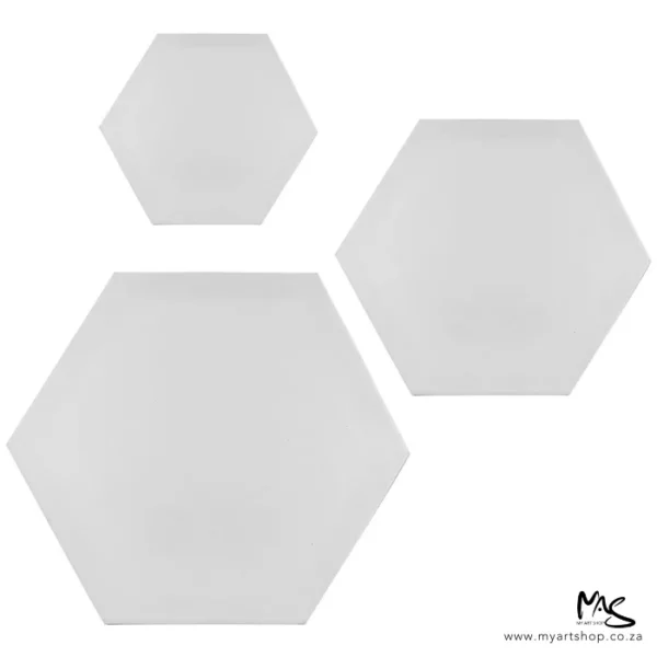 There are 3 Dala Hexagonal Stretched Canvases of different sizes shown in the frame. The largest canvas is in the bottom left hand corner, the medium sized is in the top right hand corner and the smallest is in the top left hand side of the frame. All the canvases are white. On a white background.