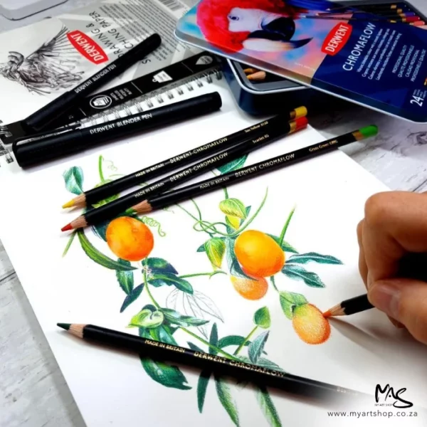 A promotional image containing a Set of 24 Derwent Chromaflow Pencils laying on a drawing of some fruit that was made using the pencils. The image is cut off by the frame.