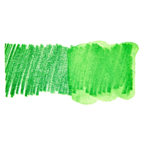 A swatch of a Jungle Green Derwent Inktense Colour Pencil can be seen horizontally, across the center of the frame. On a white background.