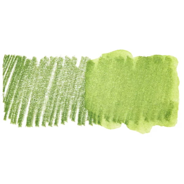 A swatch of a Olivine Derwent Inktense Colour Pencil can be seen horizontally, across the center of the frame. On a white background.