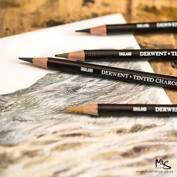 Set of 24 Derwent Tinted Charcoal Pencils. Loose pencils on top of a drawing that was created using the pencils