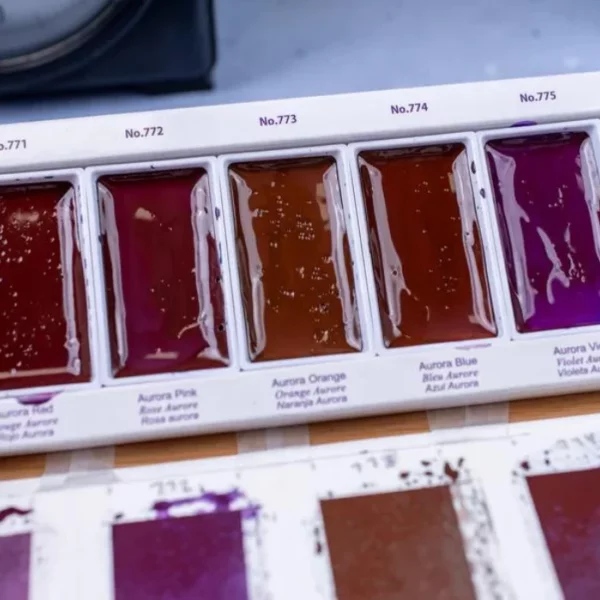 A close up of the bottom of the Granulating Gansai Tambi Watercolour Set that holds the paint pans. The pans have been activated with water and appear wet. Each paint pan is a different colour. All pans are red / purplish in colour.