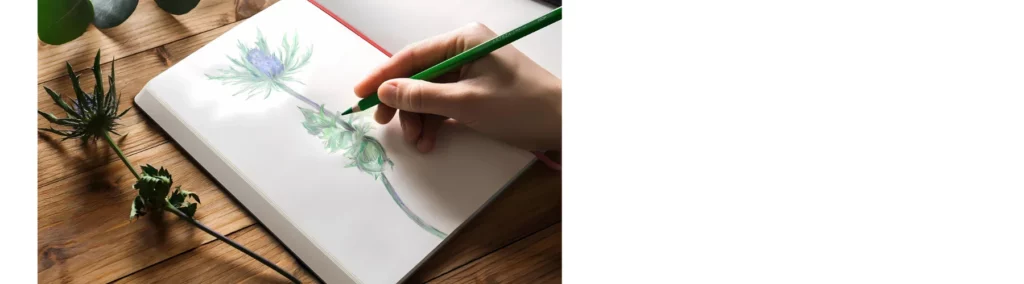 in the center of the imgae is an open notebook which is being drawn in with a green pencil being held by a hand from the right hand side of the image. they are drawing a plant that is sitting next to them on the table. they are resting the book on a wooden table with plants on it. the paper is white and the light is coming from the left hand side of the image