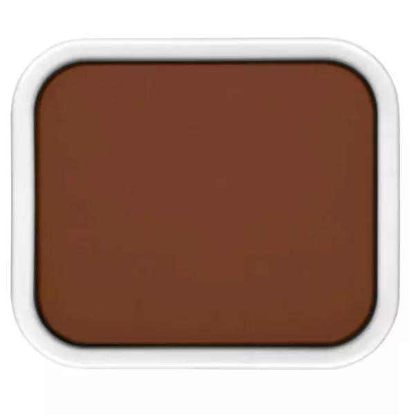 A single Brown Caran D'Ache Studio Gouache Cake is shown in the center of the frame. The paint is in a cake form in a white plastic pan. The cake is rectangular in shape. On a white background.