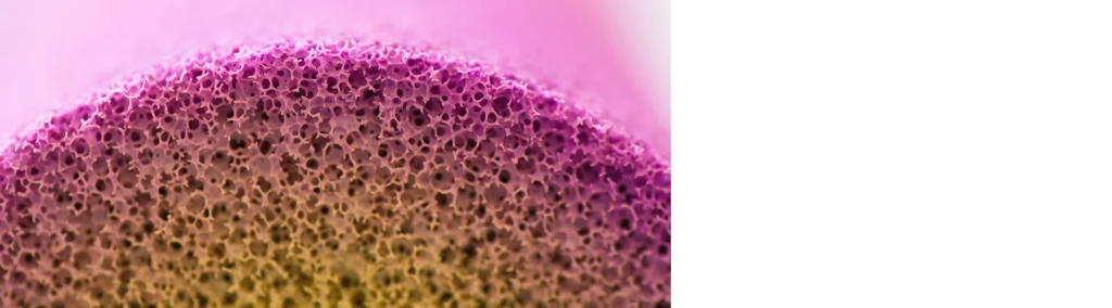 the whole image is a close up of a sea sponge with pink paint on the edges of it. the background is a light pink colour. the sponge is yellow with the paint on and you can see all the little holes in the sponge