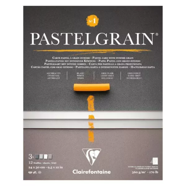 A single Grey Shades Clairefontaine PastelGrain Glued Pad 24cm x 30cm is shown vertically in the center of the frame. The pad is rectangular in shape and has the PastelGrain logo printed at the top of the pad. There is an image of a pastel on the cover. On a white background.