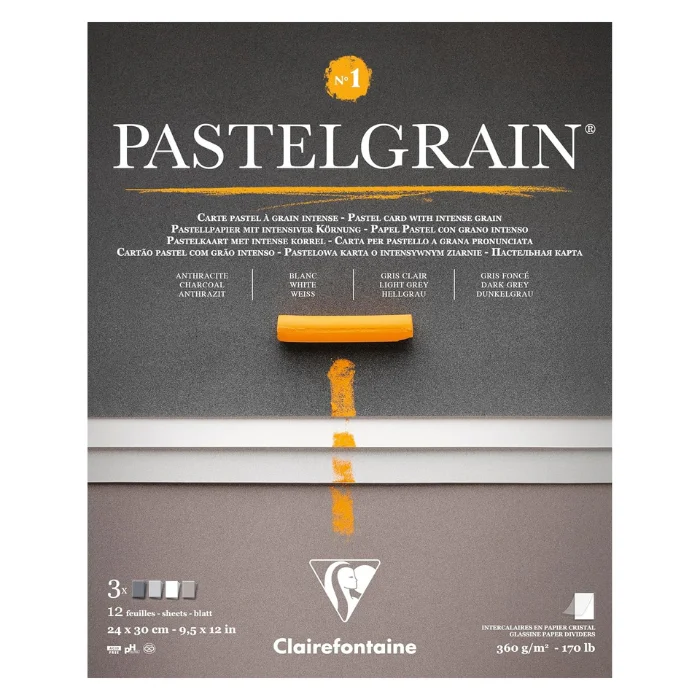 A single Grey Shades Clairefontaine PastelGrain Glued Pad 24cm x 30cm is shown vertically in the center of the frame. The pad is rectangular in shape and has the PastelGrain logo printed at the top of the pad. There is an image of a pastel on the cover. On a white background.