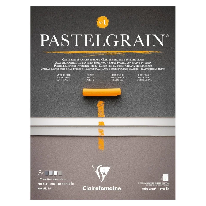 A single Grey Shades Clairefontaine PastelGrain Glued Pad 30cm x 40cm is shown vertically in the center of the frame. The pad is rectangular in shape and has the PastelGrain logo printed at the top of the pad. There is an image of a pastel on the cover. On a white background.